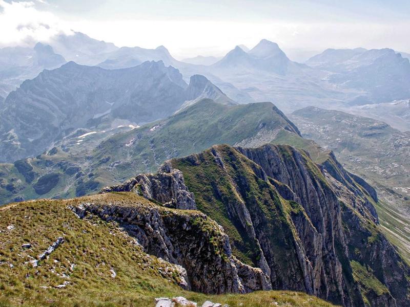 feedback screenshot 5