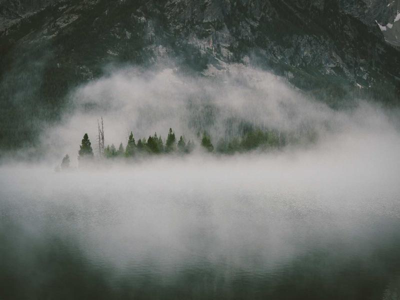 feedback screenshot 4